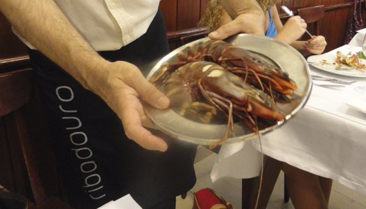 Camarão Tigre - Restaurante Ribadouro